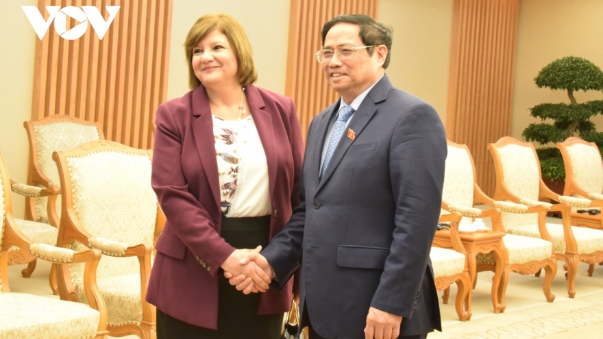 Quan hệ hợp tác Ai Cập- Việt Nam tiếp tục tăng trưởng trên nhiều lĩnh vực